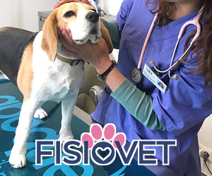 FISIOVET