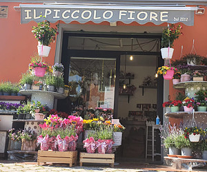 IL PICCOLO FIORE
